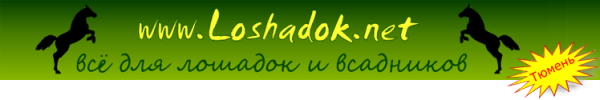 Логотип компании Loshadok.net