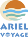 Логотип компании Ariel Voyage