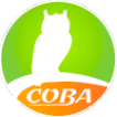 Логотип компании СОВА