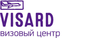 Логотип компании Визард