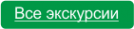 Логотип компании РЫЖИЙ СЛОН