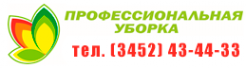 Логотип компании Тюменская Клининговая Компания