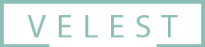 Логотип компании ВелесТ