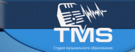 Логотип компании TMS