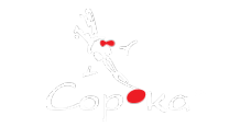 Логотип компании Сорока