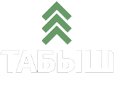Логотип компании ТАБЫШ