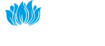 Логотип компании Floreal-shop