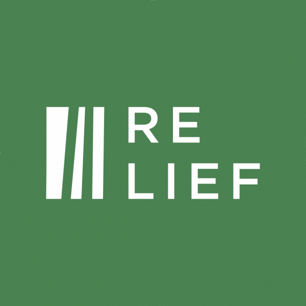 Логотип компании Рельеф
